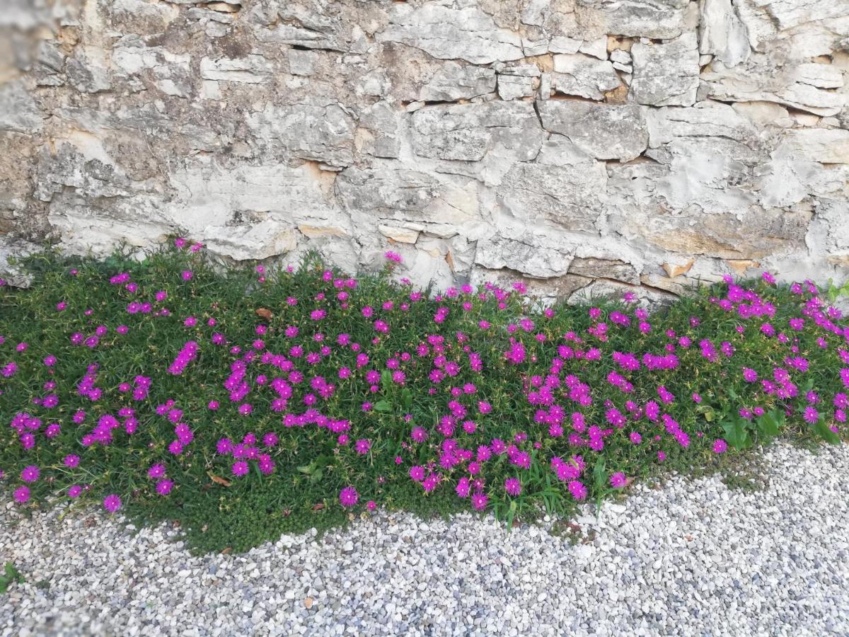Borgo Grotta Gigante Bed & Breakfast Barbara מראה חיצוני תמונה