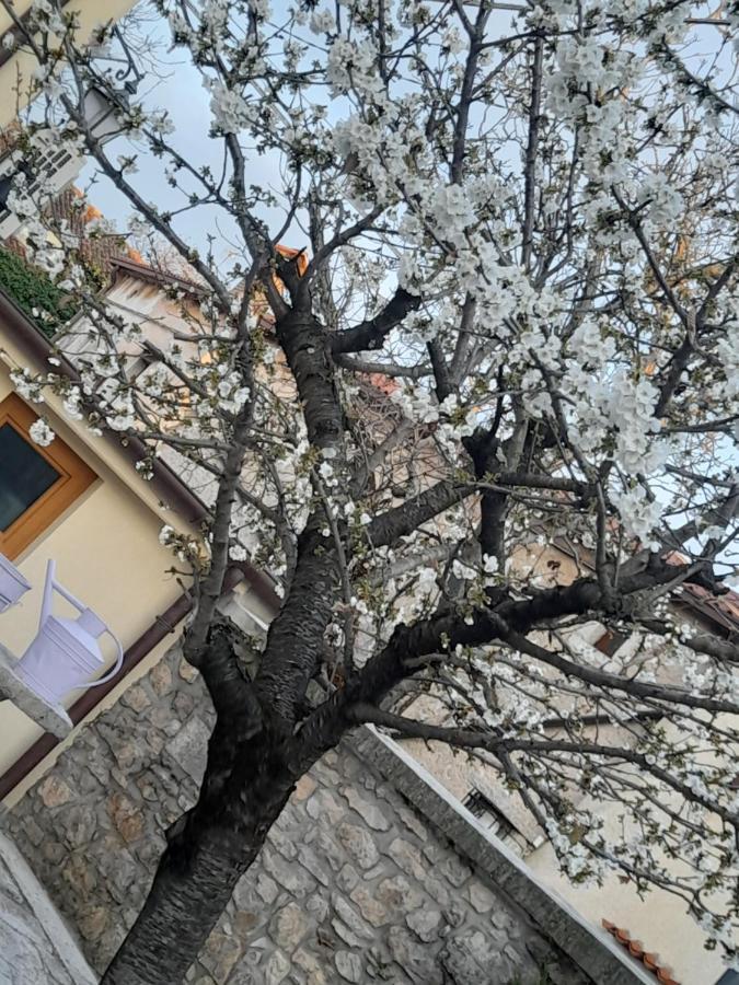Borgo Grotta Gigante Bed & Breakfast Barbara מראה חיצוני תמונה
