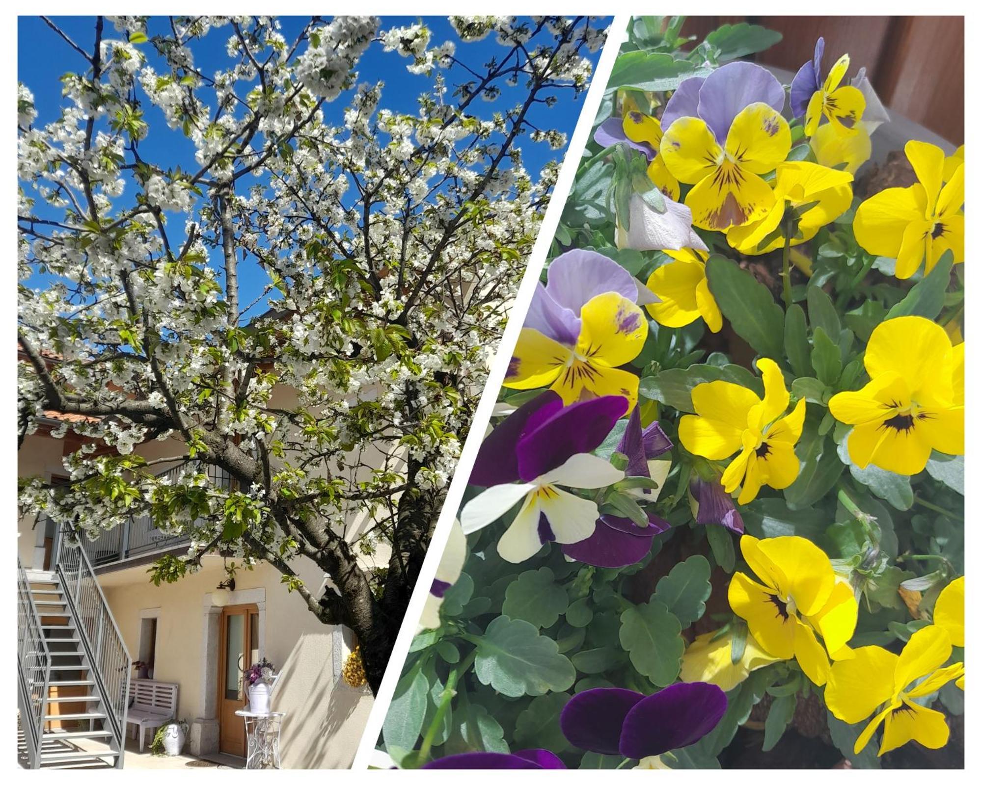 Borgo Grotta Gigante Bed & Breakfast Barbara מראה חיצוני תמונה