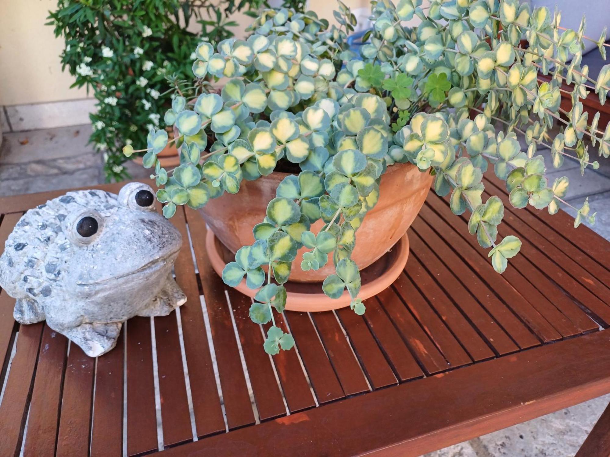 Borgo Grotta Gigante Bed & Breakfast Barbara מראה חיצוני תמונה