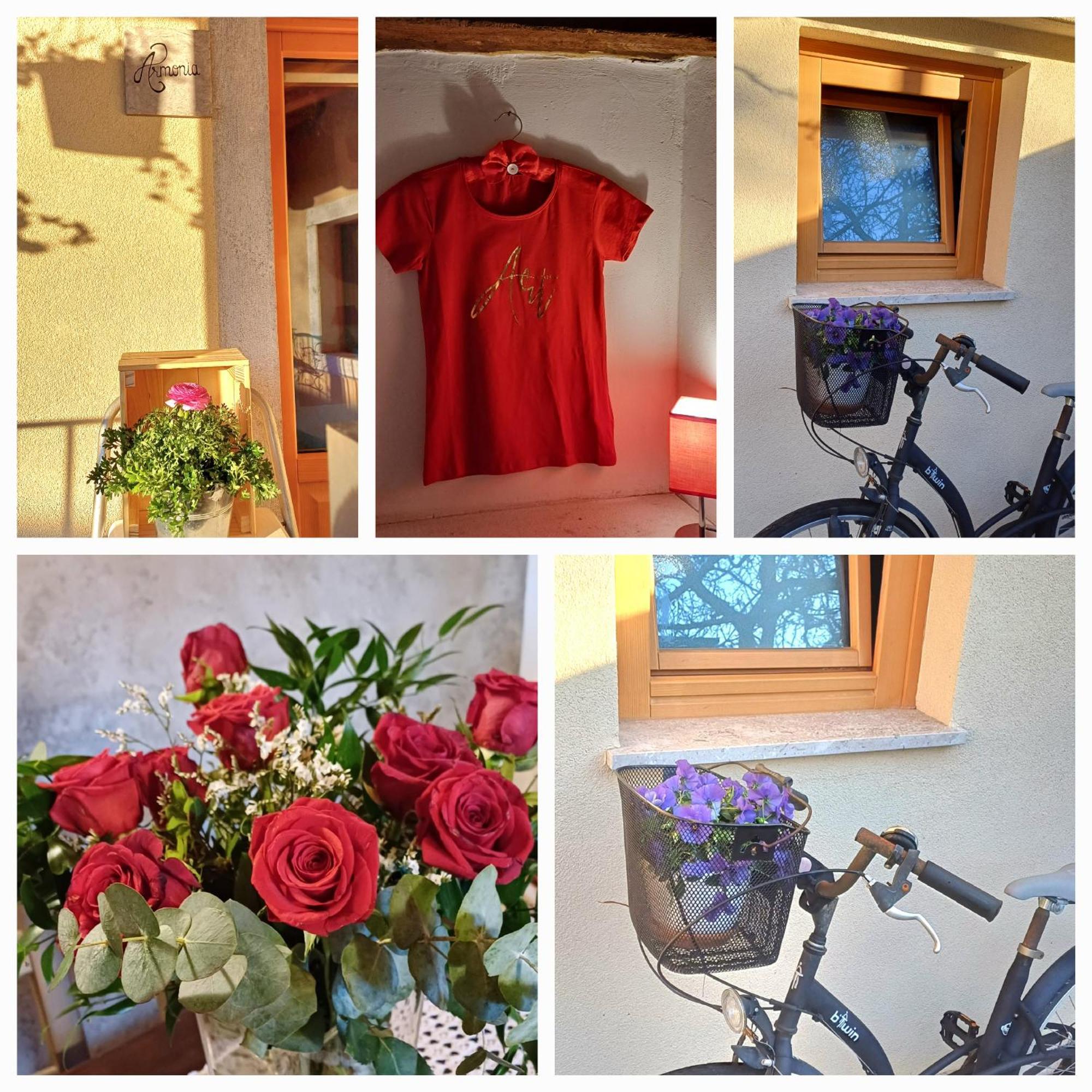 Borgo Grotta Gigante Bed & Breakfast Barbara מראה חיצוני תמונה