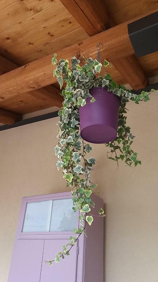Borgo Grotta Gigante Bed & Breakfast Barbara מראה חיצוני תמונה